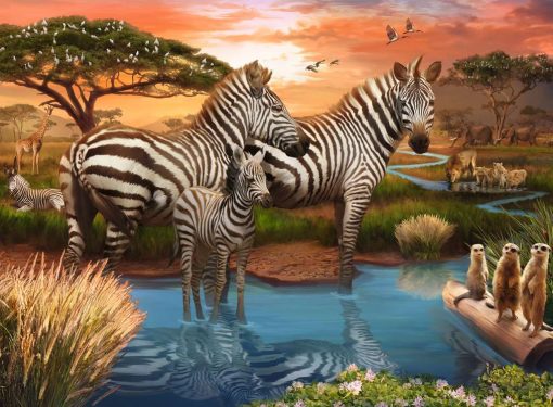 Zebra 500-Piece Puzzle Old - Image 2