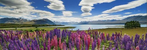 Lake Tekapo 1000-Piece Puzzle - Image 2