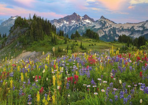 Tatoosh Mountains 2000-Piece Puzzle - Image 2