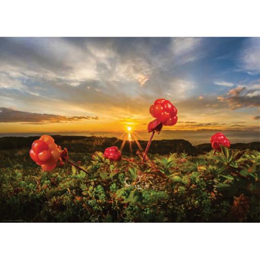 Cloudberries, AvH 1000-Piece Puzzle - Image 2